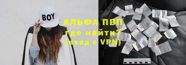 шишки Бородино