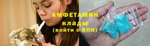 шишки Бородино