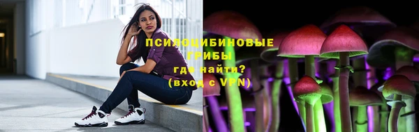 шишки Бородино