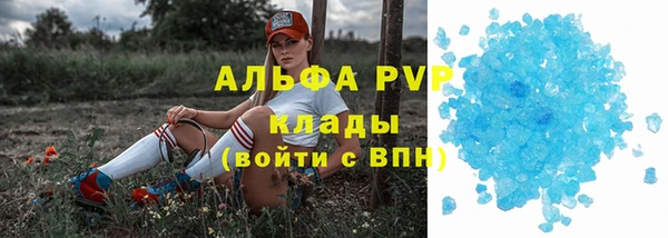 шишки Бородино