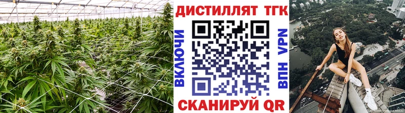 Дистиллят ТГК Wax  закладка  Кадников 