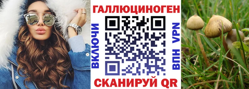купить наркоту  Кадников  Псилоцибиновые грибы MAGIC MUSHROOMS 